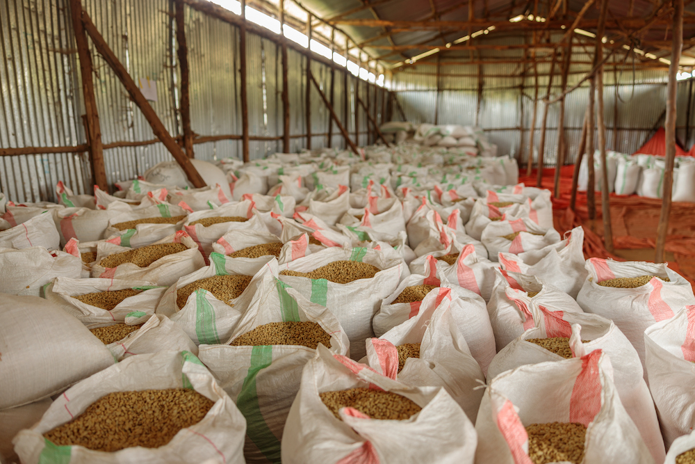 pics of open bags of single-origin coffee waiting to be shipped from their farm location