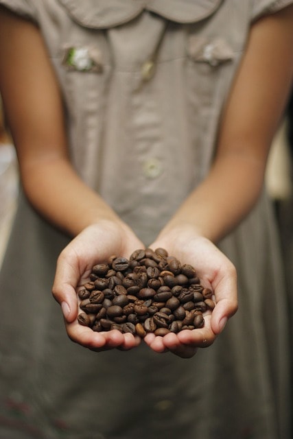 coffee, coffee beans, aroma, roasted, beans, espresso, cappuccino, mug, caffeine, coffee on hand, holding coffee beans, hand-holding, kopi, javanese, coffee cup, coffee background, coffee texture, background, coffee farm, indonesia, love shape, beautiful wallpaper, love coffee, girl holding, girl holding coffee bean, coffee seed, indonesian coffee, iphone wallpaper, coffee, coffee, coffee, coffee, coffee, coffee beans, coffee beans, coffee beans, coffee beans, coffee farm, coffee farm, coffee farm, indonesia